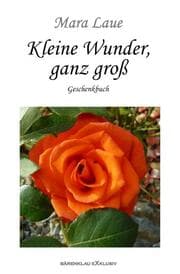 Cover von Kleine Wunder, ganz groß - Ein Geschenkbuch