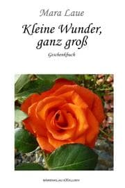Cover von Kleine Wunder, ganz groß - Ein Geschenkbuch