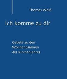 Cover von Ich komme zur dir