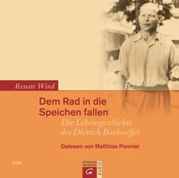 Cover von Dem Rad in die Speichen fallen