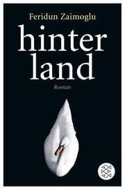 Cover von hinterland