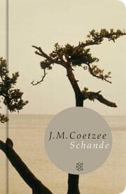 Cover von Schande