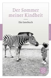 Cover von Der Sommer meiner Kindheit