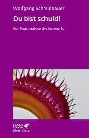 Cover von Du bist schuld!