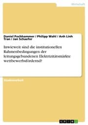 Cover von Inwieweit sind die institutionellen Rahmenbedingungen der leitungsgebundenen Elektrizitätsmärkte wettbewerbsfördernd?