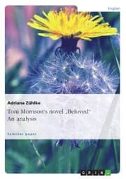 Cover von Toni Morrison's novel 'Beloved'. An analysis
