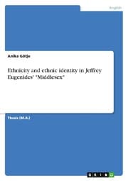 Cover von Ethnicity and ethnic identity in Jeffrey Eugenides' 'Middlesex'