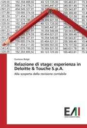 Cover von Relazione di stage: esperienza in Deloitte & Touche S.p.A.