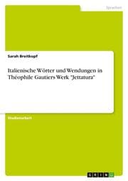 Cover von Italienische Wörter und Wendungen in Théophile Gautiers Werk 'Jettatura'