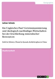 Cover von Ein Ungleiches Paar? Gewinnmaximierung und ökologisch nachhaltiges Wirtschaften bei der Erschließung mineralischer Ressourcen