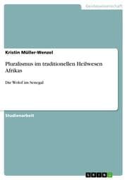 Cover von Pluralismus im traditionellen Heilwesen Afrikas