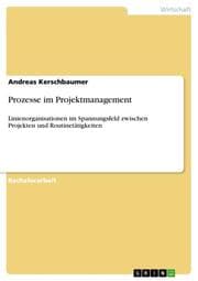Cover von Prozesse im Projektmanagement