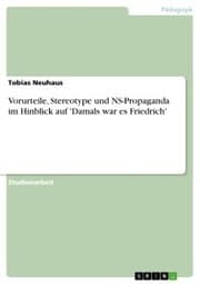 Cover von Vorurteile, Stereotype und NS-Propaganda im Hinblick auf 'Damals war es Friedrich'