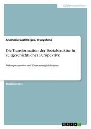 Cover von Die Transformation der Sozialstruktur in zeitgeschichtlicher Perspektive