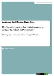 Cover von Die Transformation der Sozialstruktur in zeitgeschichtlicher Perspektive
