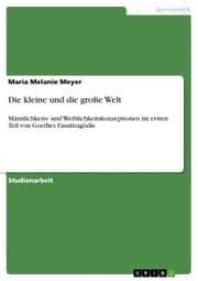 Cover von Die kleine und die große Welt