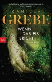 Cover von Wenn das Eis bricht