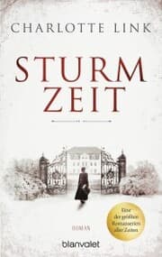 Cover von Sturmzeit