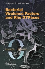 Cover von Bacterial Virulence Factors and Rho GTPases