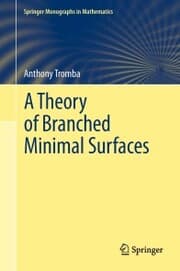 Cover von A Theory of Branched Minimal Surfaces