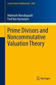Cover von Prime Divisors and Noncommutative Valuation Theory