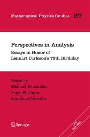 Cover von Perspectives in Analysis