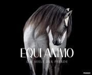 Cover von EQUI Animo - Die Seele der Pferde