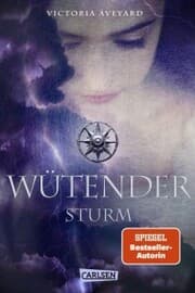 Cover von Wütender Sturm (Die Farben des Blutes 4)