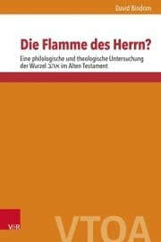 Cover von Die Flamme des Herrn?