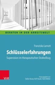 Cover von Schlüsselerfahrungen: Supervision im therapeutischen Strafvollzug