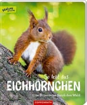 Cover von So lebt das Eichhörnchen