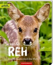 Cover von So lebt das Reh