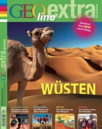 Cover von Wüsten