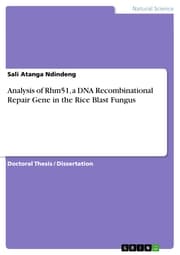 Cover von Analysis of Rhm51, a DNA Recombinational Repair Gene in the Rice Blast Fungus