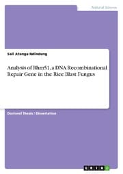 Cover von Analysis of Rhm51, a DNA Recombinational Repair Gene in the Rice Blast Fungus