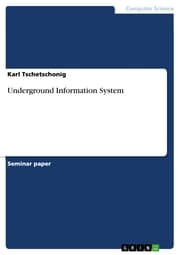 Cover von Underground Information System