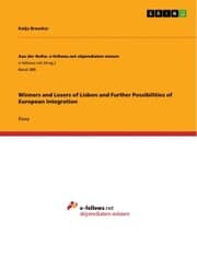Cover von Winners and Losers of Lisbon and Further Possibilities of European Integration