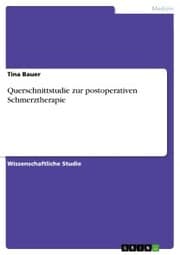 Cover von Querschnittstudie zur postoperativen Schmerztherapie