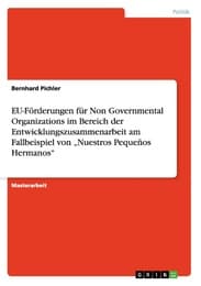 Cover von EU-Förderungen für Non Governmental Organizations im Bereich der Entwicklungszusammenarbeit am Fallbeispiel von Nuestros Pequeños Hermanos