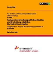 Cover von Analyse eines branchenspezifischen Marktes und Erarbeitung möglicher Markteintrittsstrategien