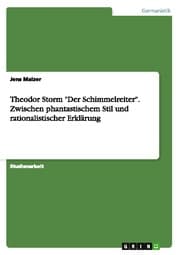 Cover von Theodor Storm 'Der Schimmelreiter'.Zwischen phantastischem Stil und rationalistischer Erklärung