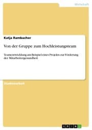 Cover von Von der Gruppe zum Hochleistungsteam