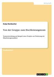 Cover von Von der Gruppe zum Hochleistungsteam