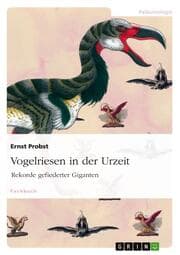 Cover von Vogelriesen in der Urzeit
