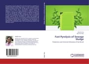 Cover von Fast Pyrolysis of Sewage Sludge