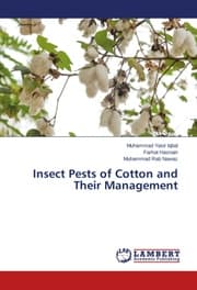 Cover von Insect Pests of Cotton and Their Management