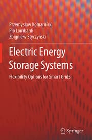 Cover von Electric Energy Storage Systems