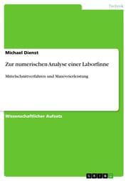 Cover von Zur numerischen Analyse einer Laborfinne