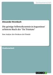 Cover von Die geistige Selbsterkenntnis in Augustinus' zehntem Buch der 'De Trinitate'