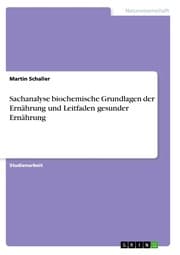 Cover von Sachanalyse biochemische Grundlagen der Ernährung und Leitfaden gesunder Ernährung